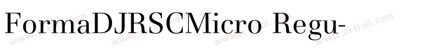 FormaDJRSCMicro Regu字体转换